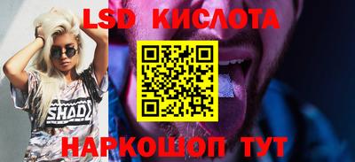 Альфа ПВП Малгобек
