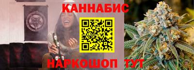 Альфа ПВП Малгобек