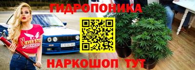 трава Мариинск