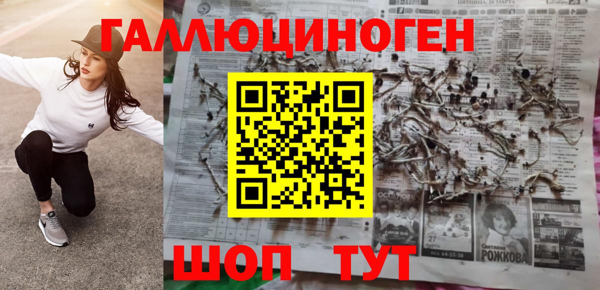 Псилоцибиновые грибы прущие грибы  Вход с VPN  Строитель  Галлюциногенные грибы Cubensis 